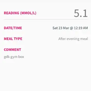 Kebab with salad and garlic sauce — gestational diabetes friendly